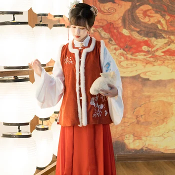 

The original Ming-made Han clothing women's horse-faced skirt antique dress the A Chinese wind winter dress