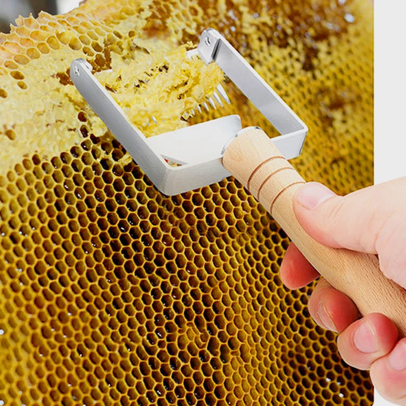 

Multifunctional Fork Scraper Shovel With Handle Stainless Steel Bee Hive Uncapping Honey Beekeeper Tool Apiculture Accessories