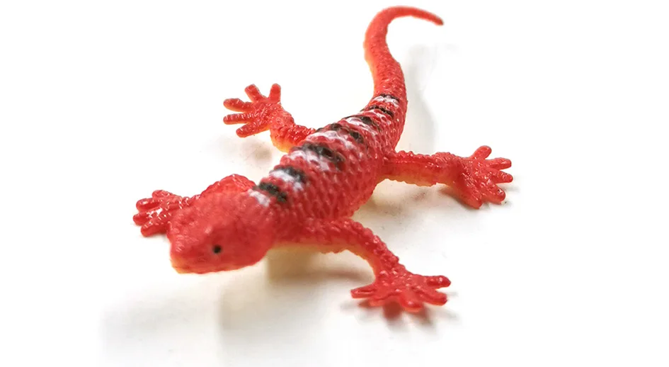 详情页-12款-彩色蜥蜴等_13