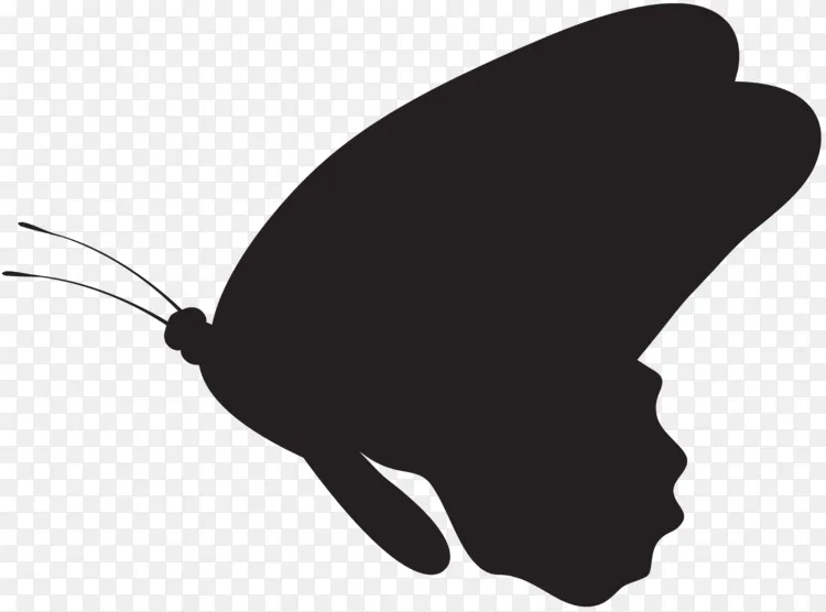 剪影画蝴蝶-蝴蝶剪影png剪贴画图像