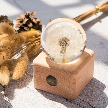 

Real Dandelion Flower Crystal Glass Resin Lens Ball With Stand Mom Gift Christmas Wedding Gifts for Guests Girlfriend Home Decor