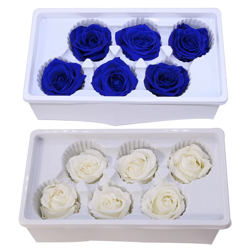 

12 Pcs Eternal Roses Heads,Real Natural Fresh Preserved Rose,Beauty and the Beast Forever Rose,Immortal Flower Material , 6 Pcs
