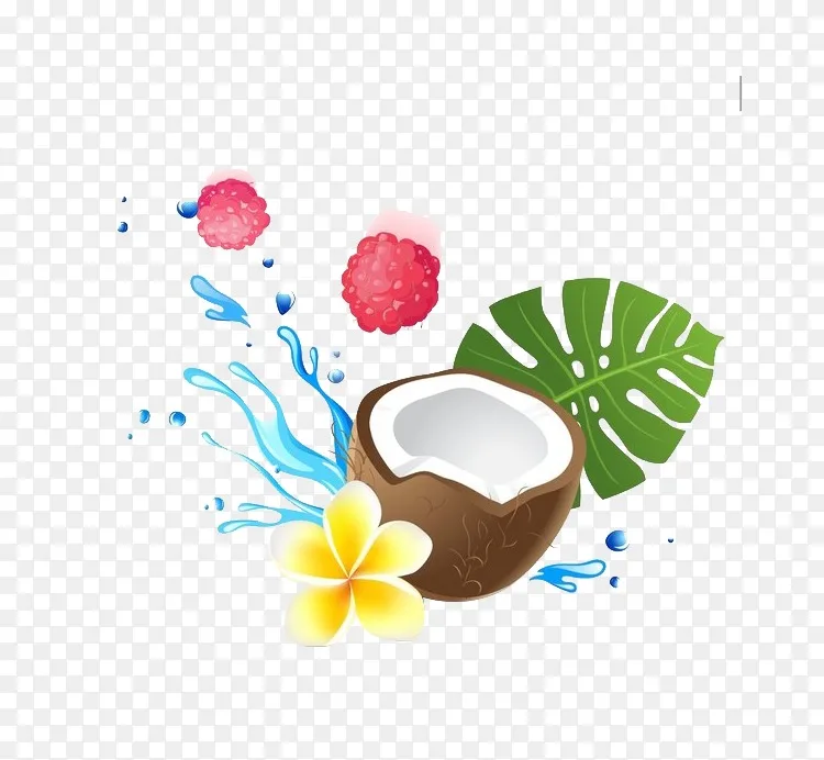 椰奶椰子水椰子油保健 卡通椰子花装饰图案png图片素材免费下载 图片编号4011 Png素材网