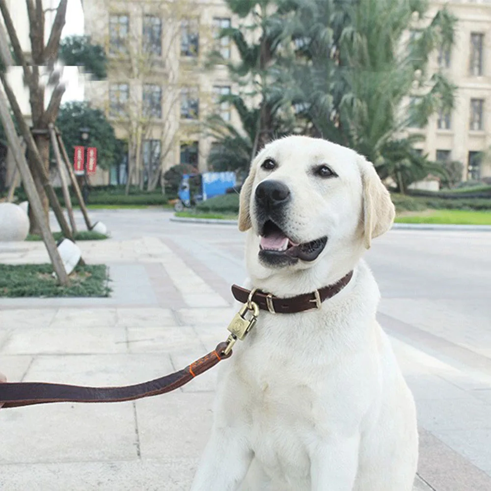 Leather Dog Collar AirTag Dog Collar With Handle Tactical Dog