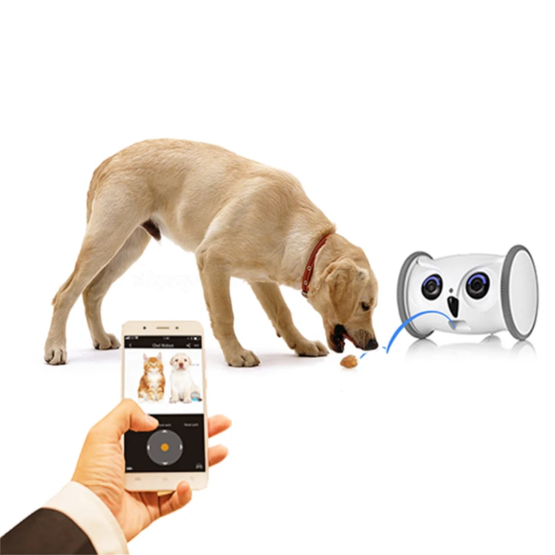 Owlet Home Pet Camera with Treat Dispenser Tossing for Dogs/Cats, Advanced  WiFi, 1080P Camera, Live Video, Auto Night Vision, 2-Way Audio, Compatible  with Alexa, pre-Recorded Voice Message Black & White