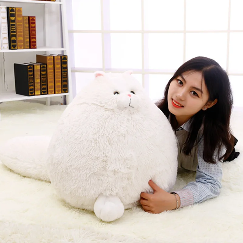 

Lin Yun Children Celebrity Style Long Tail Cute Model Persian Cat Doll Fat Cat Plush Toys Birthday Gift