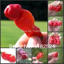 100 шт горячий перец чили-Красный Питер "пенис" перец-Перцовый аннуум Овощной S