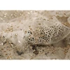 Newborn Photography Props Transparent Mesh Yarn Blanket Baby Starry Swaddling Wrap Infants Photo  Backdrop Dropshipping 5
