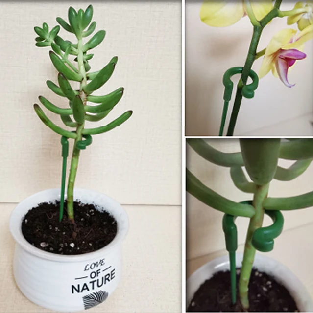 Kerti Bonsai Támogató Tét Stander Egy Szárú Cserjék Tartó Pillangók Orchidea Zamatos Phalaenopsis Virágcserepes Rúd - Image 5