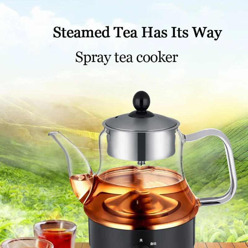 600W Button Type Multi-function Steamer Glass Steam Pot Pu'er Tea Machine Coffee Machine Extraction Health Steaming Teapot