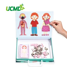 Magnetic Kids Puzzle Human Body Brick Toy 3D Structure Muscle Bone Cognitive Jigsaw Puzzles Biology Learning Educational Toys structure of bone