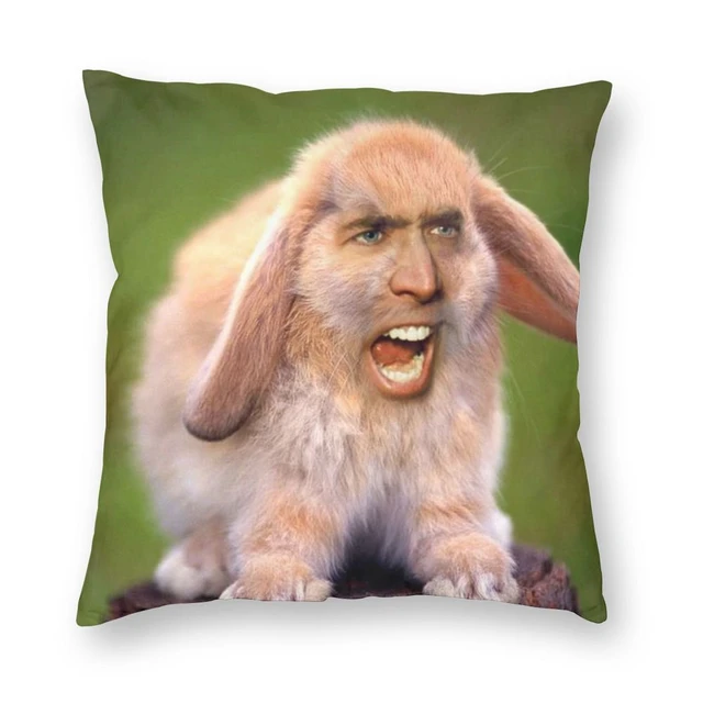 Nicolas Cage Rabbit Face Pillowcase Soft Polyester Cushion Cover Decor Throw  Pillow Case Cover Home Dropshipping 45*45cm - AliExpress