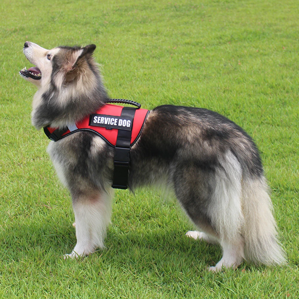

Reflective Dog Harness Breathable Adjustable No Pull Pet Vest Harness Outdoor Adventure Pet Vest with Handle in Stock Factory