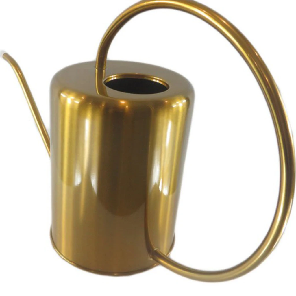 

Garden Long Spout Watering Can for House Plants Stainless Watering Pot 2.0L