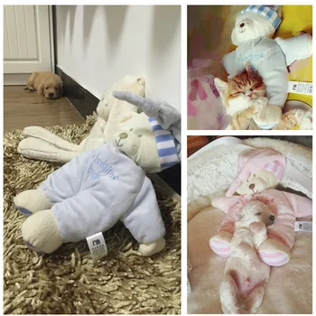 

Sleep ~ Not Pillow ~ Pet Pet Toy Pet Sound Making Cat Pet Toy Teddy Bichon Cat Dog