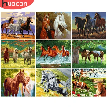 

HUACAN Paint By Number Horse Animal Drawing On Canvas HandPainted Painting Art Gift DIY Pictures By Number Home Decor Kits