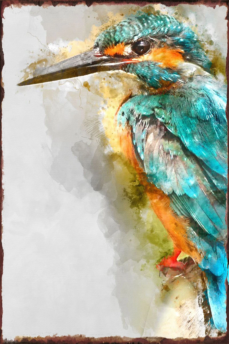

Bird WaterColor Tin Sign Tin Plates Wall Decor Room Decoration Retro Vintage Metal Sign For Art Cafe Pub Home Club Man Cave