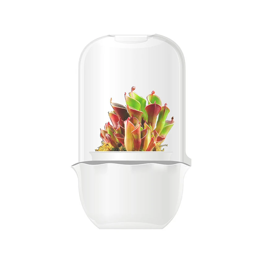 

Intelligent Multi-meat Carnivorous Plant Flower Pot Timed Illumination Nursery Pot Creative Mini Decorative Cute Indoor Desktop