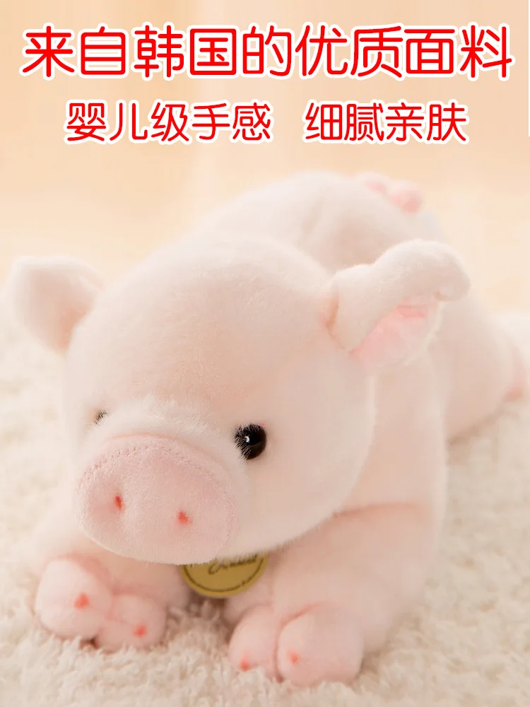 miyoni pig