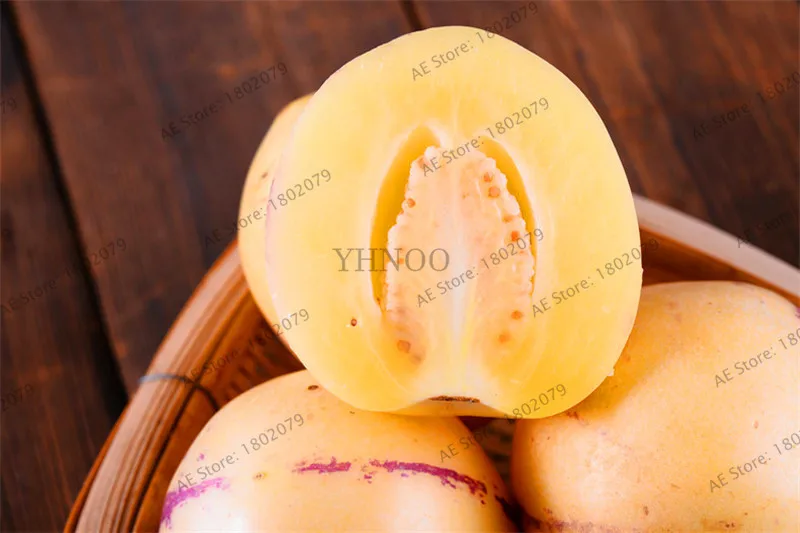 103 Ginseng fruit garden,Potted plants,mini tree Nutrition is rich, beautiful,Bonsai plant for courtyard,Vegetable melon flores