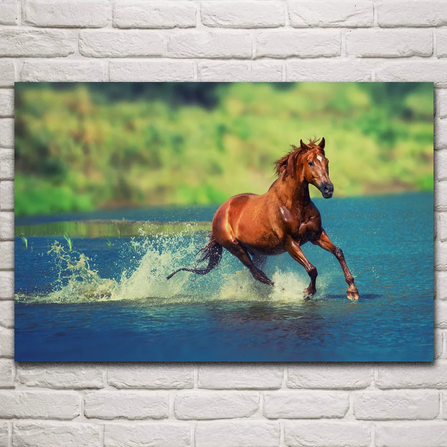 Cool horse running in water Freedom mood animal artwork posters on the