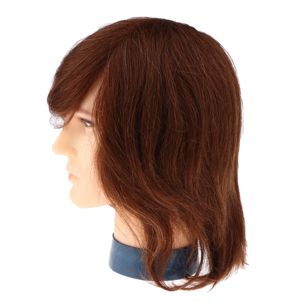 10'' Brown Male Mannequin Head 100% Human Hair Hairdressing Styling Mannikin Head for Stylist Training Practice