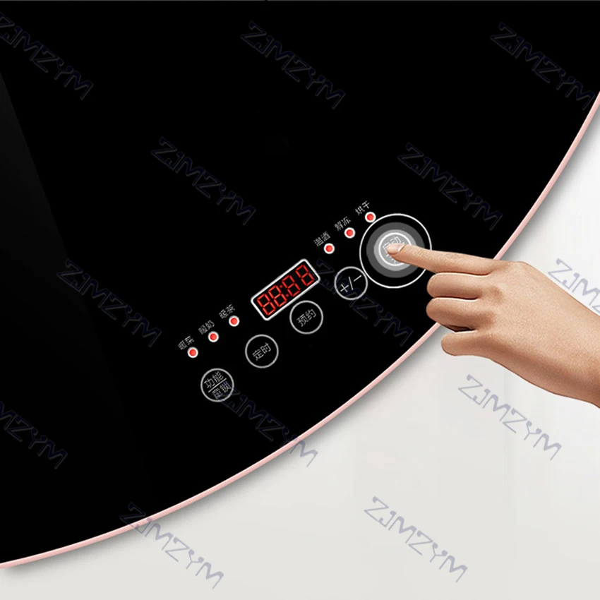 induxpert hot plate