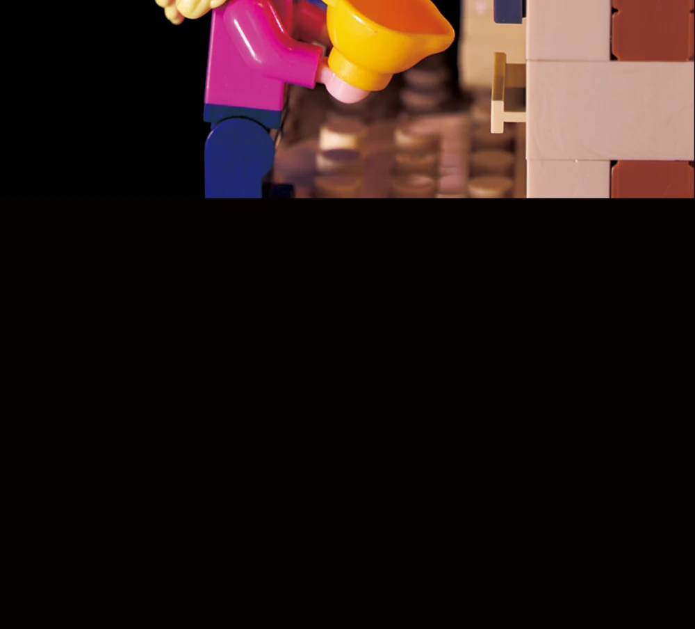 lego 16024 lego  21319 (14)