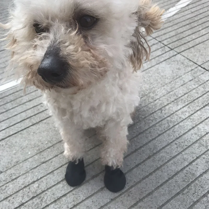 Title 6, Dog Rubber Rain Shoes Waterproof Pets Boots Non...