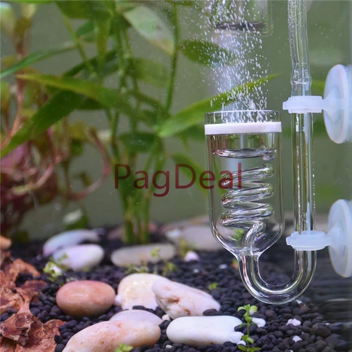 Glass CO2 Diffuser1
