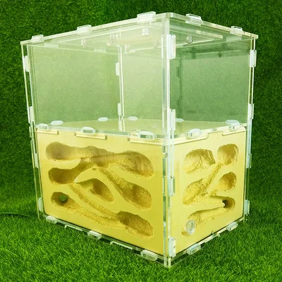 

Stitching No. 4 Bionic Acrylic Gypsum Ant Nest Pet Ant Castle Workshop