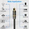 44862-1d22fb.jpg Cable Audio optique câble Fiber optique numérique