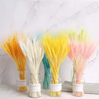 

50Pcs/lot Natural Dried Flower colorful Wheat Ears Bouquet for Wedding Home Party Decoration DIY Craft Wheat Branch Props