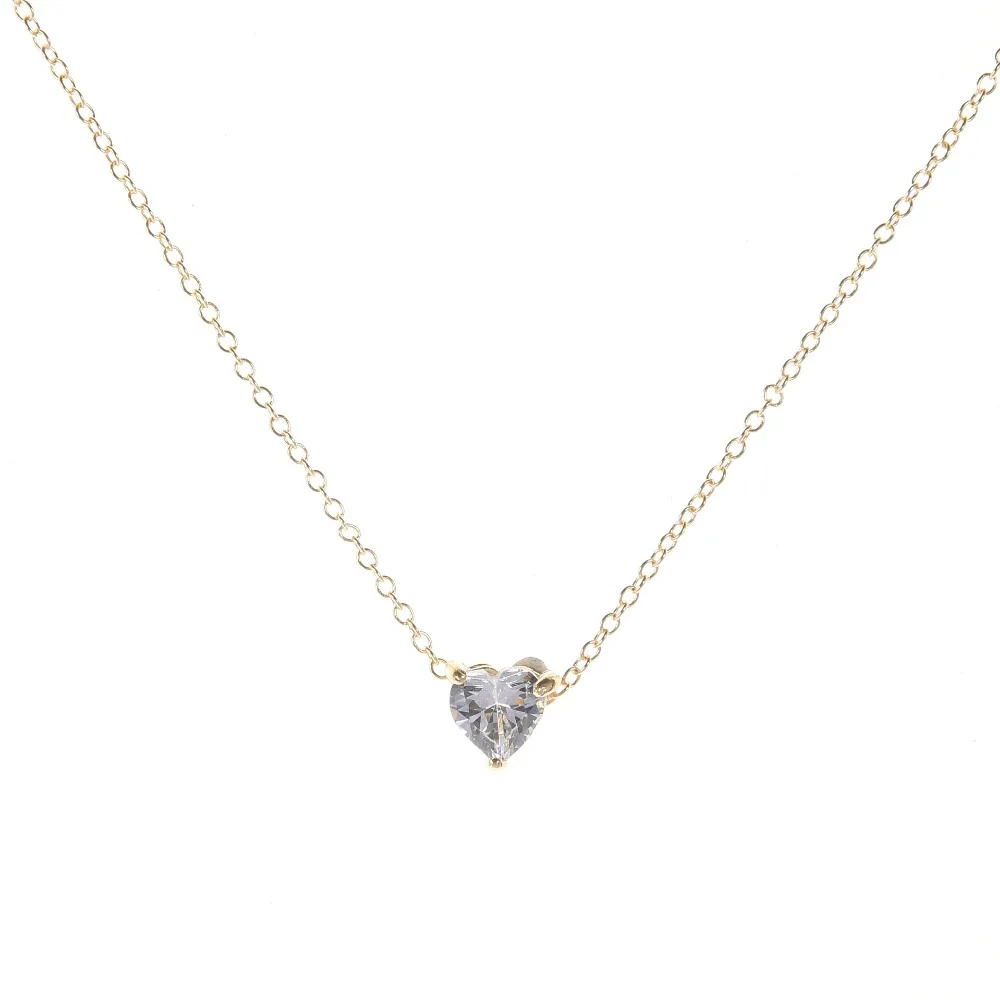 12703981519_2139691661