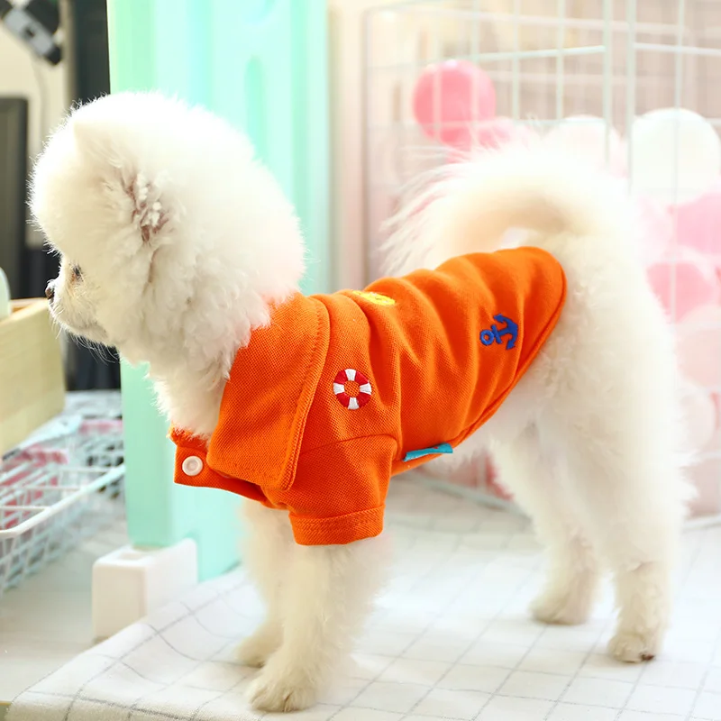 宾利小熊polo9