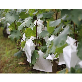 

Buy 50 Get 50 Fruit Grapes Protection Bags Mesh Netting Barrier Bags for Apple Mango Pear Vegetable Against-Birds Pest Control