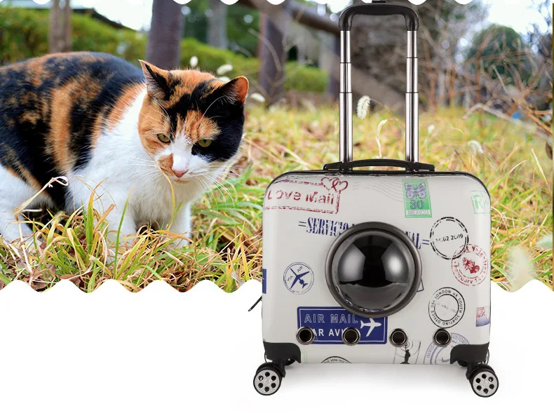 30% рюкзак для перевозки кошек дорожная сумка с колесиками чехол на колесиках для кошек квадроцикл переносная дорожная сумка для собак