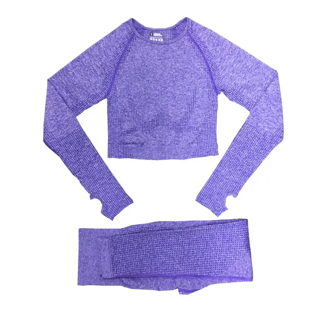2/3/5PCS Women Sportswear Yoga Set Gym Clothing Tracksuit Long Sleeve Crop Top High Waist Seamless Leggings Fitness Sports Suits 2pcs purple