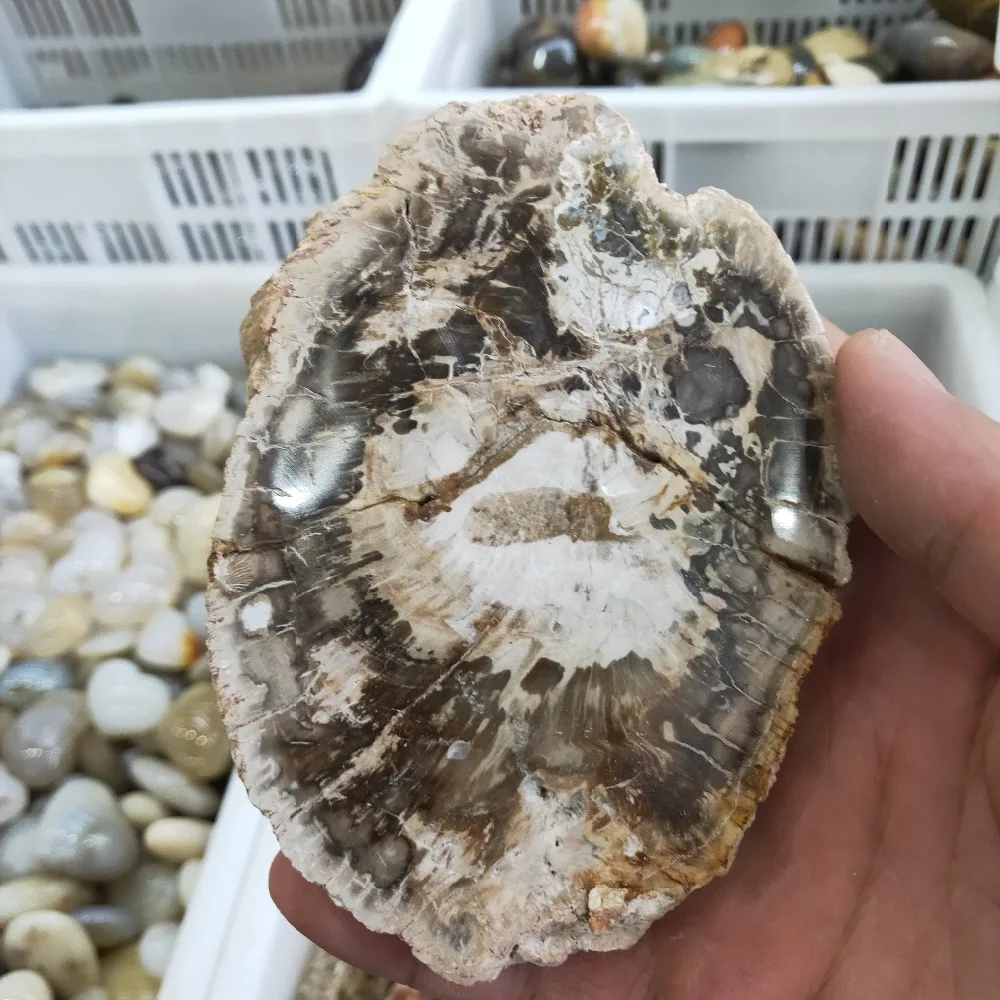 IMG20190928111718