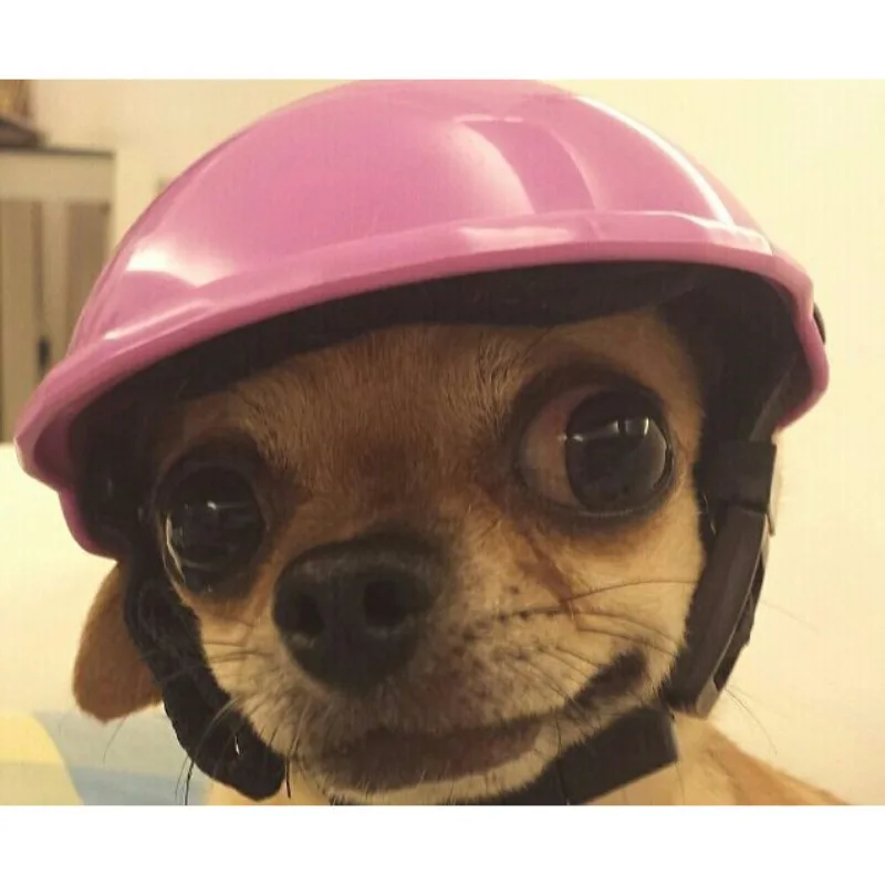 BYyushop Cool Pet Dog Helmet Ridding Cap Soft Padded Safety Hat Puppy Sun Rain Protection Orange S 