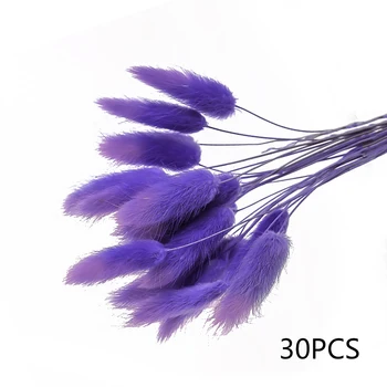 

30pcs Dried Hare Tail Grass Bunny Rabbit Lagurus Ovatus Natural Flowers Bouquet