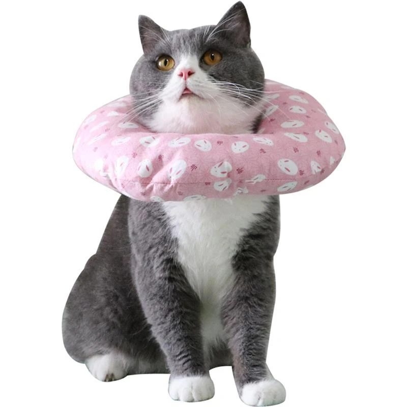 Cat licking collar Clearance