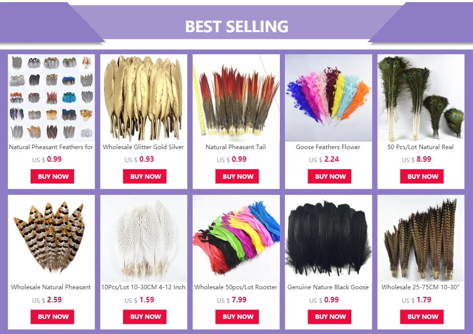 Pheasant Feather Tail Feathers  Natural Pheasant Tail Feathers - 10pcs/lot  10-30cm - Aliexpress