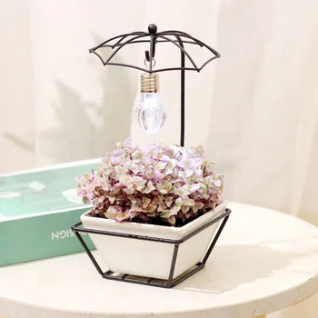 

1 Set Creative Flower Bowl Iron Rack Flowerpot Mini Succulent Planter Bonsai Storage Pot Gardening Supply with Light Bulb (White