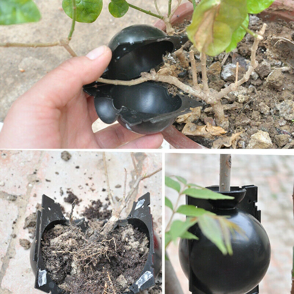 10Pcs Plant Rooting Ball High Pressure Grafting Rooting Box Root Growing Box Breeding Case Plant Growth Balls Gardening Supplies