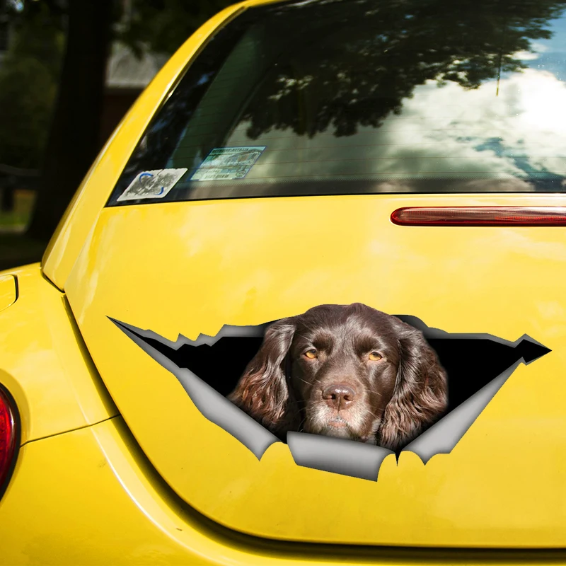 Buy English Cocker Spaniel Dog Sticker Online