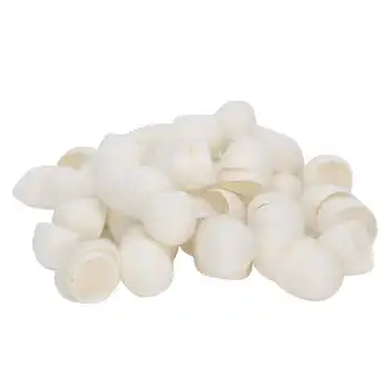 

Skin Vacuum Led 60pcs Care Natural Silks Cocoons Blackhead Removal Exfoliating Silkworm Balls Blackhead