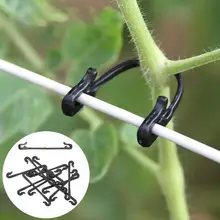 

Convenient PP Plants Hanging Vine Clamps for Plant Vine Ties Convenient PP Plants Hanging Vine Clamps for Plant