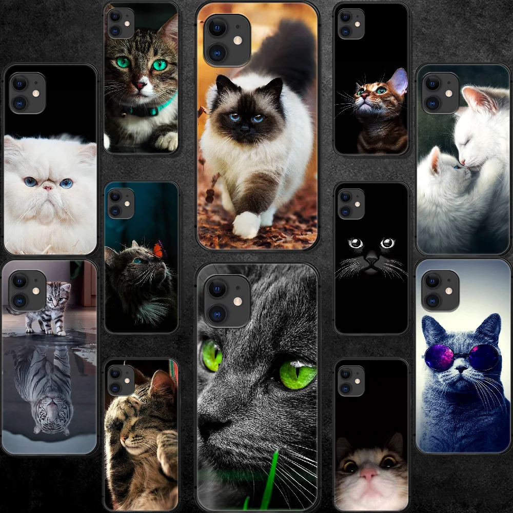 кошачий айфон. кошка с айфоном 11. чехол для телефона с котиком. Vivo v17 чехол чеширский кот. чехлы с котятами.