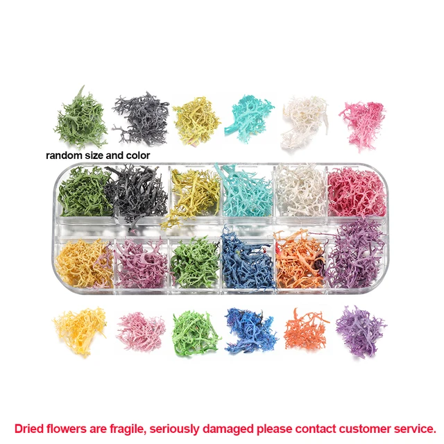 1Box Dried Flowers Dry Plants for Rsein Molds Fillings Epoxy Resin Pendant Tweezers Jewelry Making Craft DIY Nail Art Decoration Style17